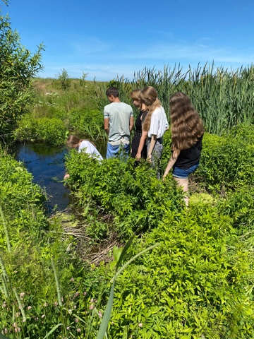 Исследование экологического состояния водных объектов поселка Кадошкино.