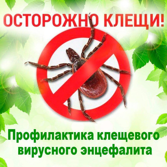 Профилактика клещевого энцефалита.